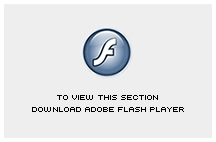 Flash Download